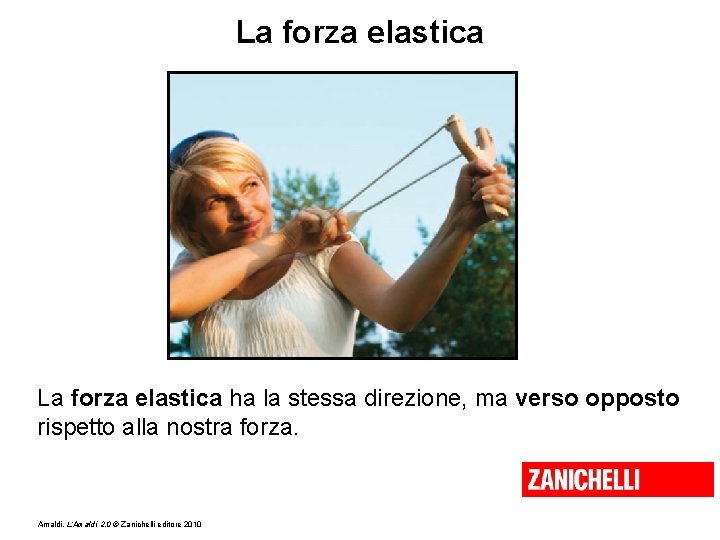 La forza elastica ha la stessa direzione, ma verso opposto rispetto alla nostra forza.