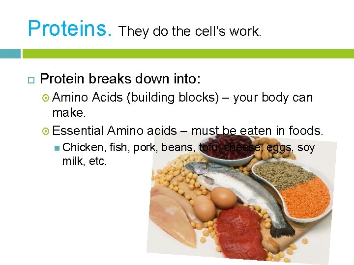 Proteins. They do the cell’s work. Protein breaks down into: Amino Acids (building blocks)