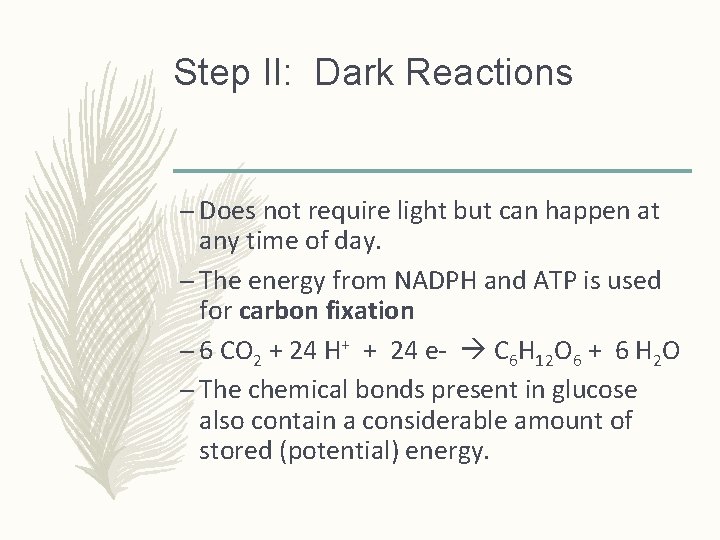 Step II: Dark Reactions – Does not require light but can happen at any