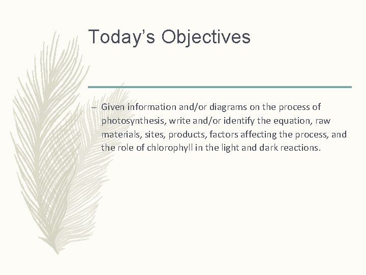 Today’s Objectives – Given information and/or diagrams on the process of photosynthesis, write and/or