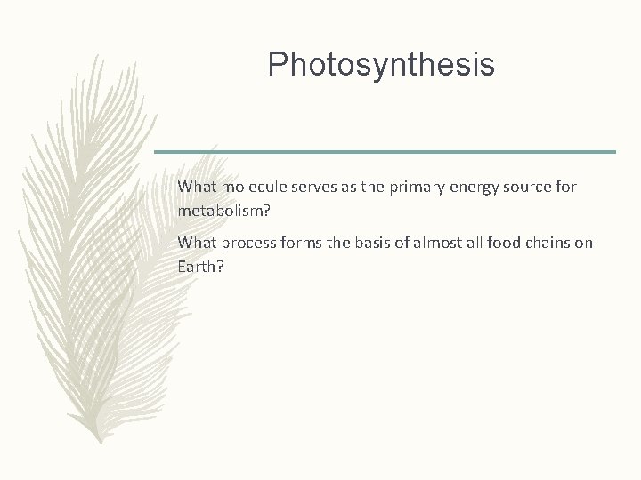 Photosynthesis – What molecule serves as the primary energy source for metabolism? – What