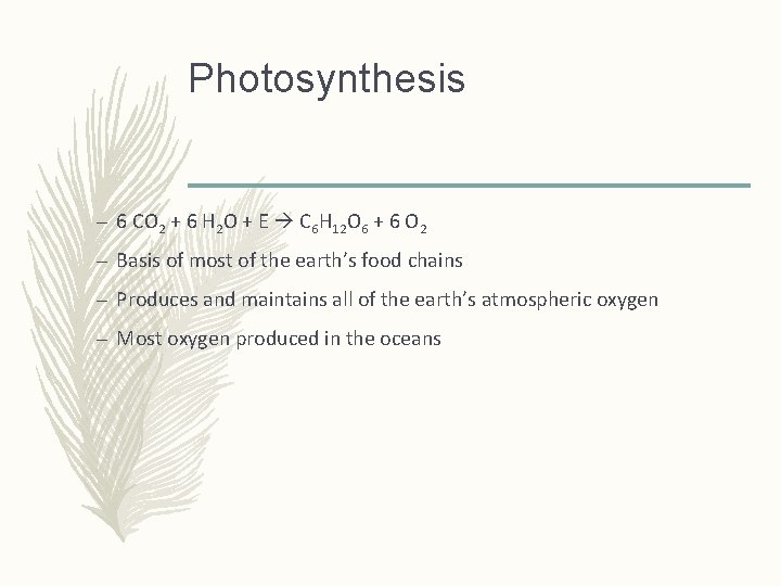 Photosynthesis – 6 CO 2 + 6 H 2 O + E C 6