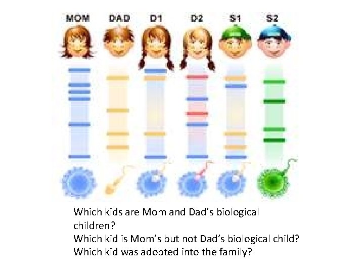 Which kids are Mom and Dad’s biological children? Which kid is Mom’s but not