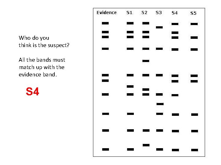 Who do you think is the suspect? All the bands must match up with