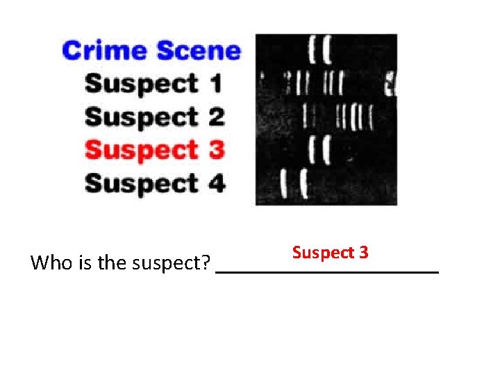 Suspect 3 Who is the suspect? _________ 