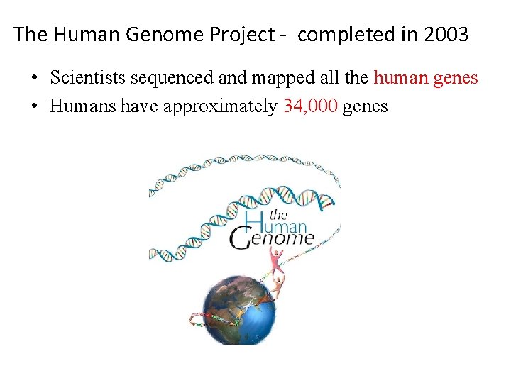 The Human Genome Project - completed in 2003 • Scientists sequenced and mapped all