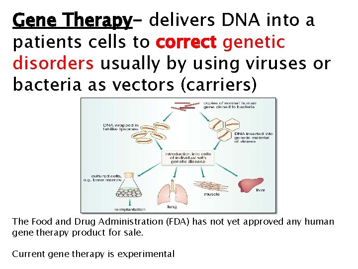 Gene Therapy- delivers DNA into a patients cells to correct genetic disorders usually by