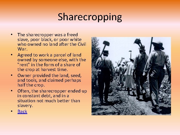 Sharecropping • The sharecropper was a freed slave, poor black, or poor white who