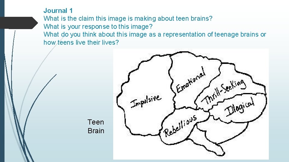 Journal 1 What is the claim this image is making about teen brains? What