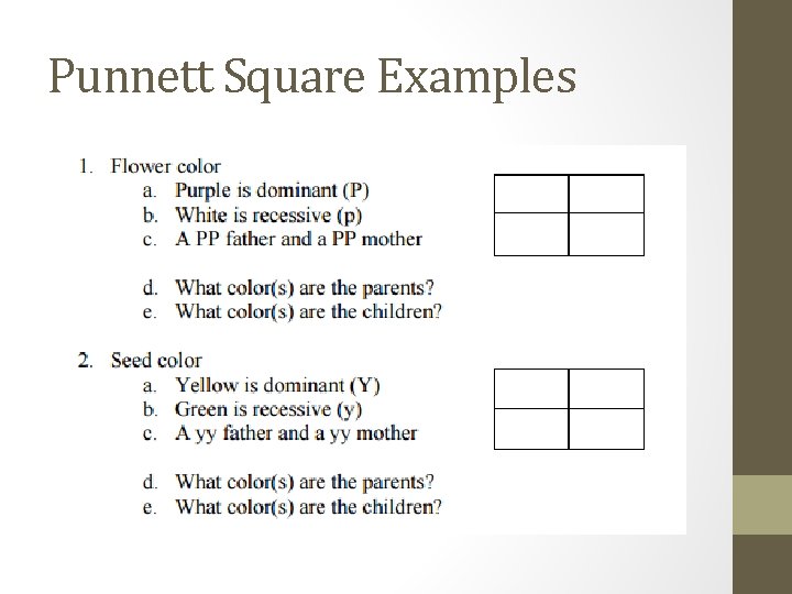 Punnett Square Examples 