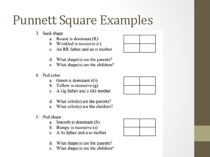 Punnett Square Examples 
