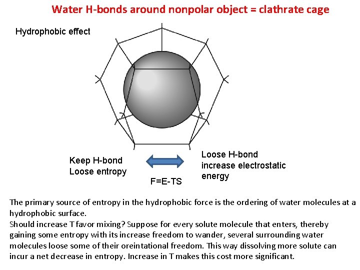 Water H-bonds around nonpolar object = clathrate cage Hydrophobic effect Keep H-bond Loose entropy