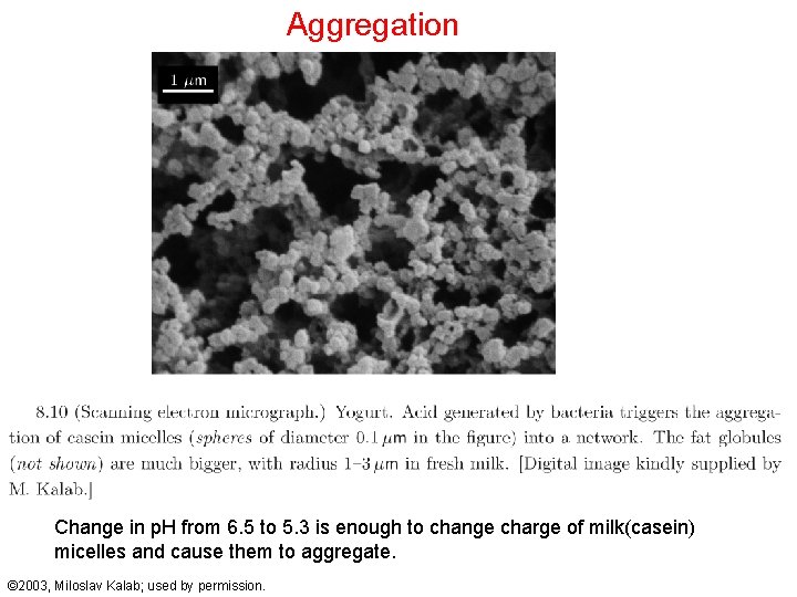 Aggregation Change in p. H from 6. 5 to 5. 3 is enough to
