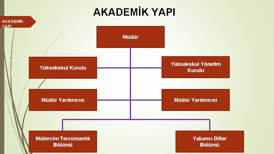 AKADEMİK YAPI Müdür Yüksekokul Kurulu Yüksekokul Yönetim Kurulu Müdür Yardımcısı Mütercim Tercümanlık Bölümü Yabancı