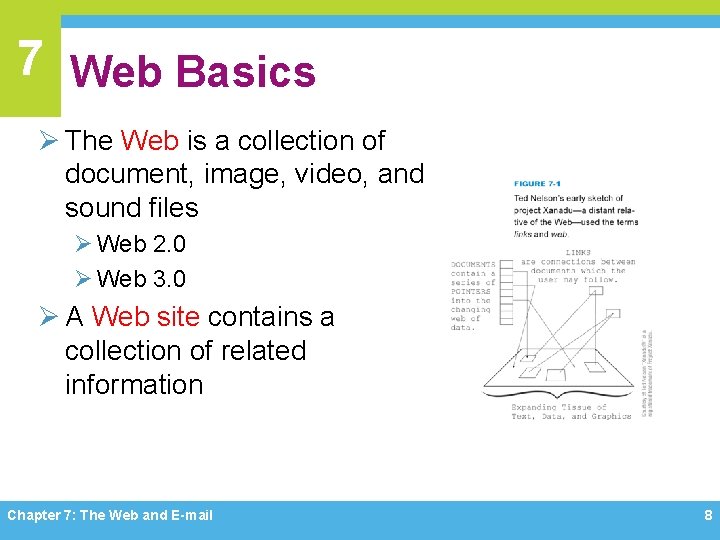 7 Web Basics Ø The Web is a collection of document, image, video, and