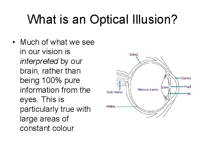 What is an Optical Illusion? • Much of what we see in our vision
