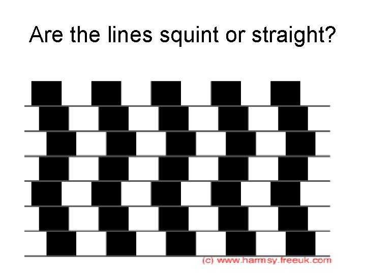 Are the lines squint or straight? 