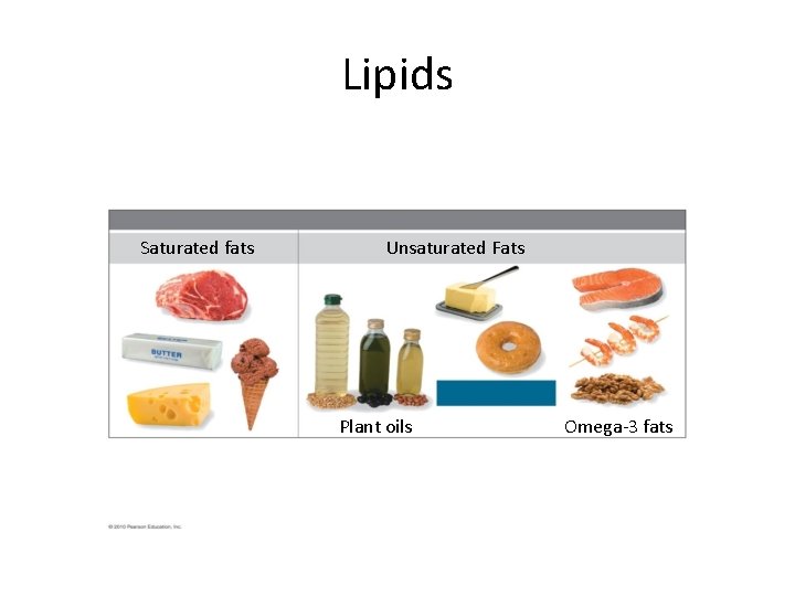 Lipids Saturated fats Unsaturated Fats Plant oils Omega-3 fats 
