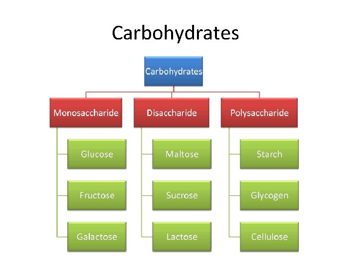 Carbohydrates 