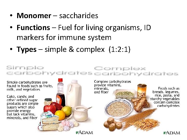  • Monomer – saccharides • Functions – Fuel for living organisms, ID markers