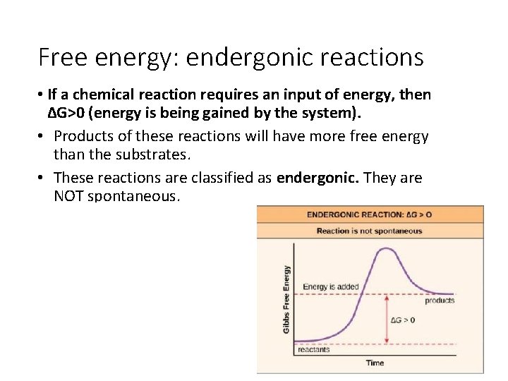 Free energy: endergonic reactions • If a chemical reaction requires an input of energy,