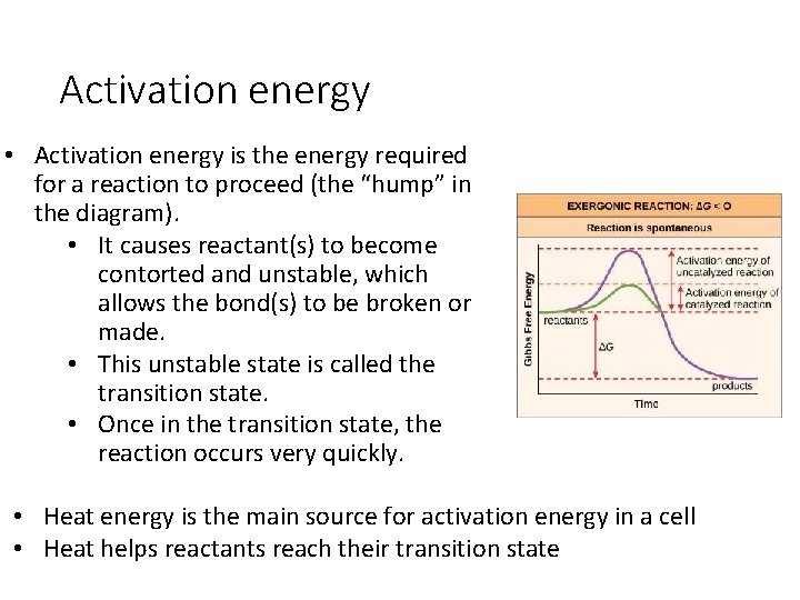 Activation energy • Activation energy is the energy required for a reaction to proceed
