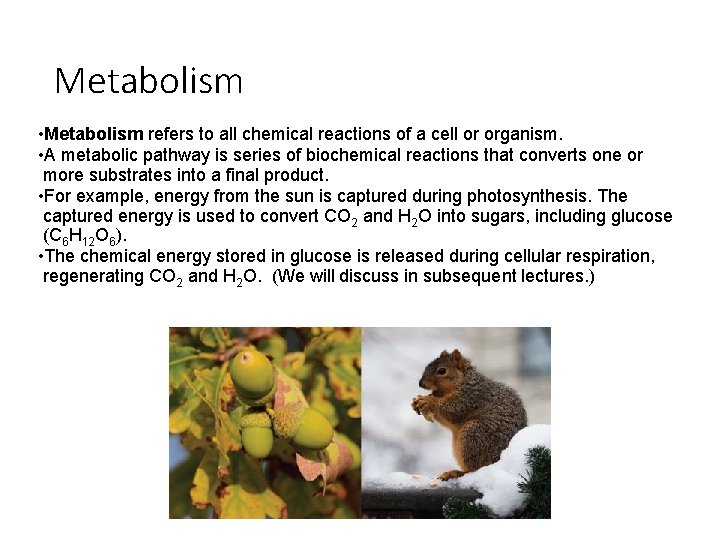 Metabolism • Metabolism refers to all chemical reactions of a cell or organism. •