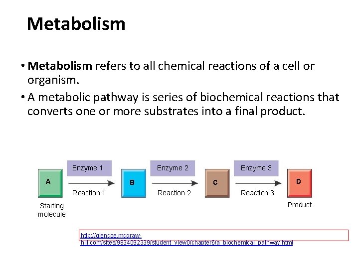 Metabolism • Metabolism refers to all chemical reactions of a cell or organism. •