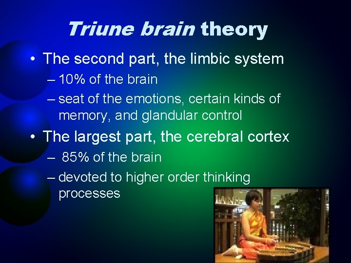 Triune brain theory • The second part, the limbic system – 10% of the