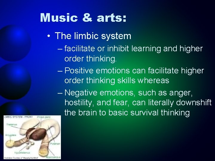 Music & arts: • The limbic system – facilitate or inhibit learning and higher