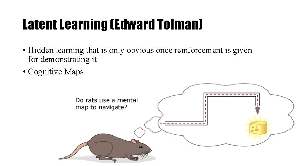 Latent Learning (Edward Tolman) • Hidden learning that is only obvious once reinforcement is