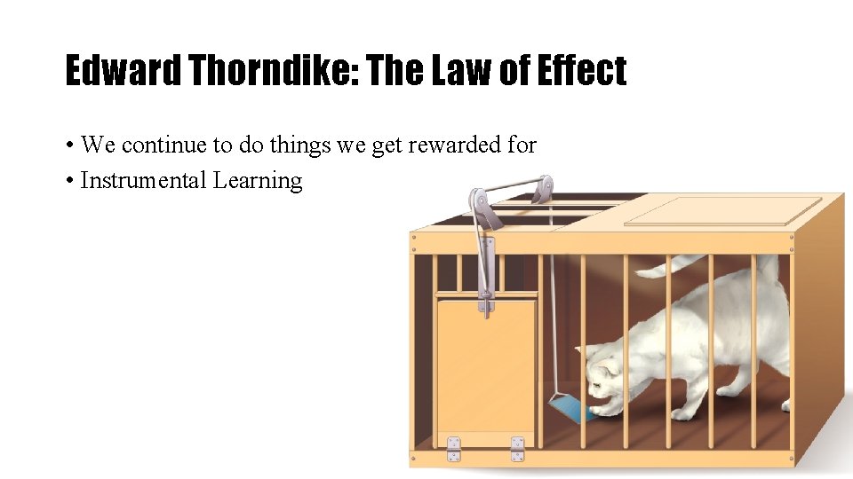 Edward Thorndike: The Law of Effect • We continue to do things we get