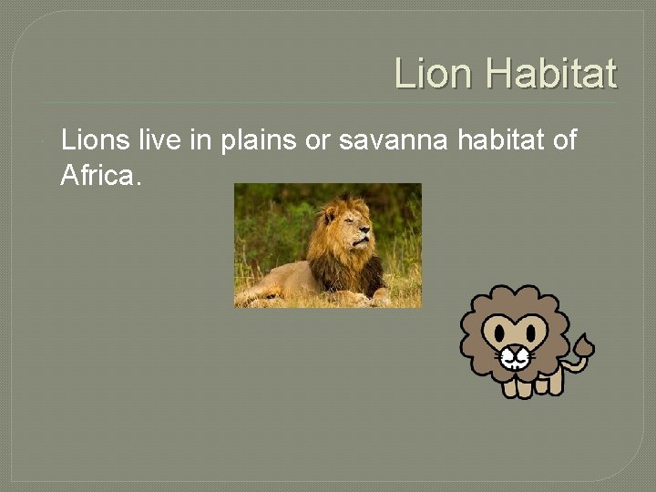 Lion Habitat Lions live in plains or savanna habitat of Africa. 