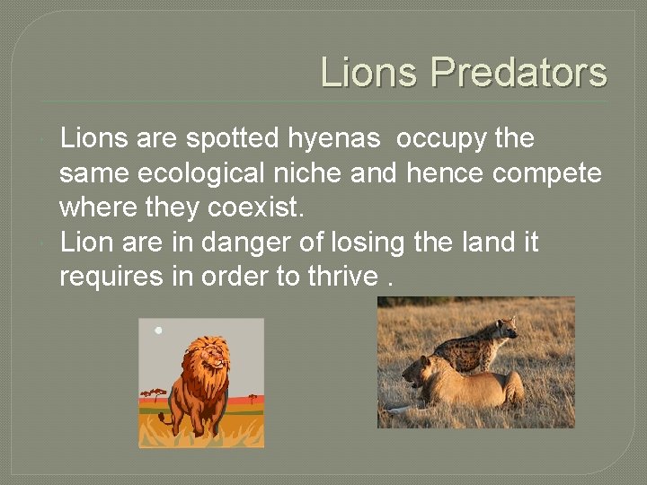 Lions Predators Lions are spotted hyenas occupy the same ecological niche and hence compete