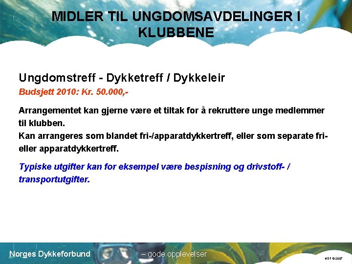 MIDLER TIL UNGDOMSAVDELINGER I KLUBBENE Ungdomstreff - Dykketreff / Dykkeleir Budsjett 2010: Kr. 50.