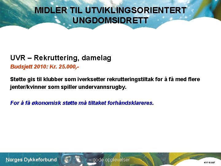 MIDLER TIL UTVIKLINGSORIENTERT UNGDOMSIDRETT UVR – Rekruttering, damelag Budsjett 2010: Kr. 25. 000, Støtte