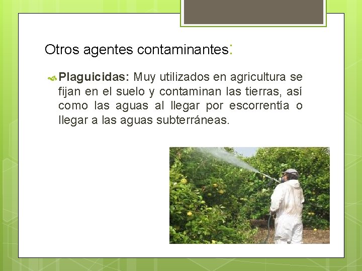 Otros agentes contaminantes: Plaguicidas: Muy utilizados en agricultura se fijan en el suelo y