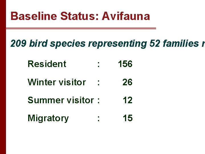 Baseline Status: Avifauna 209 bird species representing 52 families r Resident : 156 Winter