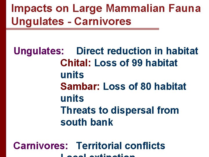 Impacts on Large Mammalian Fauna Ungulates - Carnivores Ungulates: Direct reduction in habitat Chital: