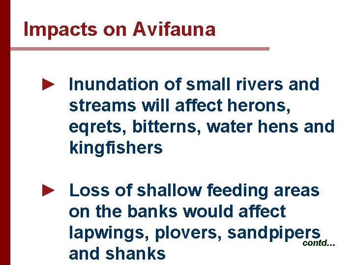 Impacts on Avifauna ► Inundation of small rivers and streams will affect herons, eqrets,