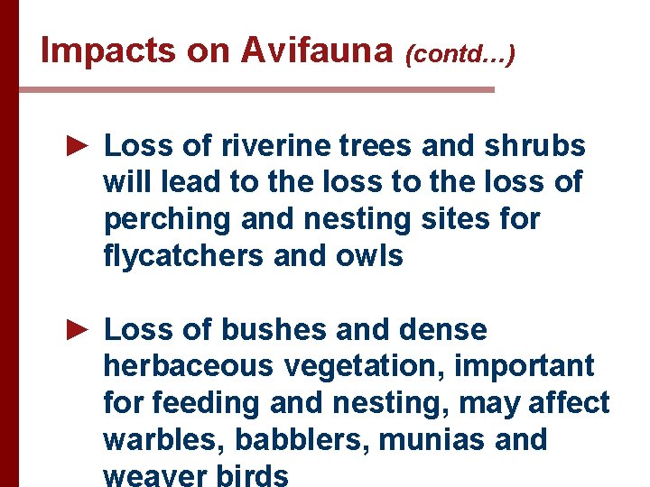 Impacts on Avifauna (contd…) ► Loss of riverine trees and shrubs will lead to