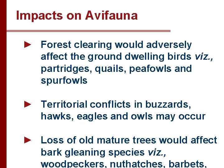 Impacts on Avifauna ► Forest clearing would adversely affect the ground dwelling birds viz.