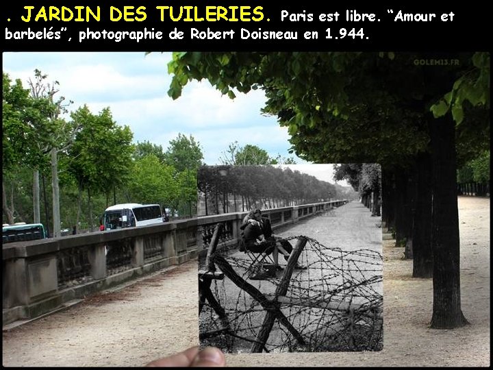 . JARDIN DES TUILERIES. Paris est libre. “Amour et barbelés”, photographie de Robert Doisneau