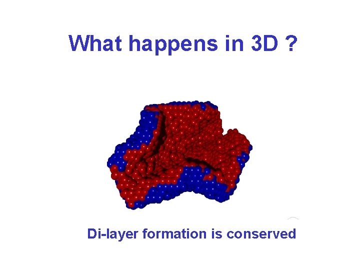 What happens in 3 D ? Di-layer formation is conserved 