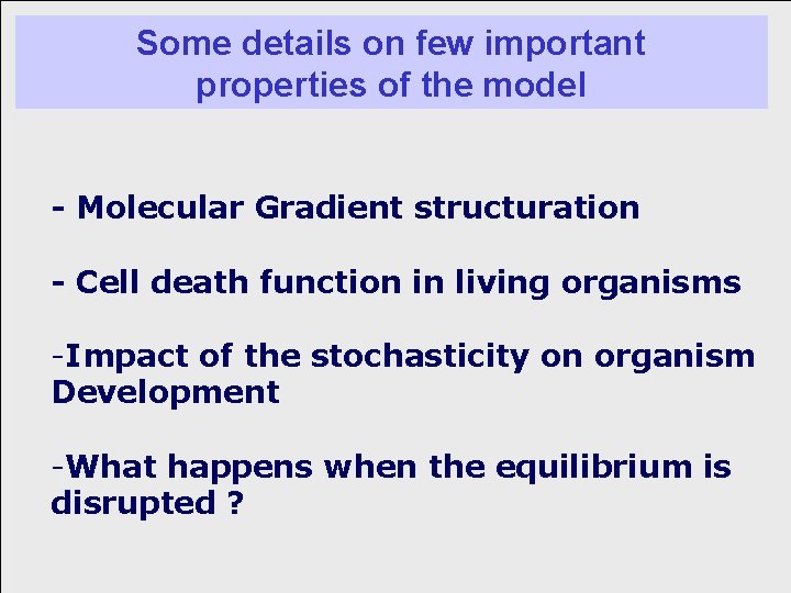 Some details on few important properties of the model - Molecular Gradient structuration -