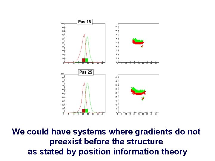 We could have systems where gradients do not preexist before the structure as stated