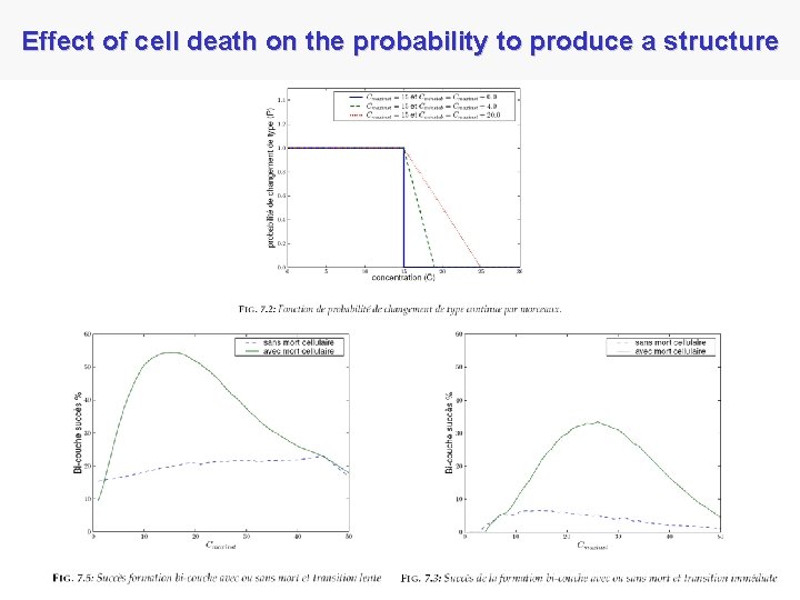 Effect of cell death on the probability to produce a structure 