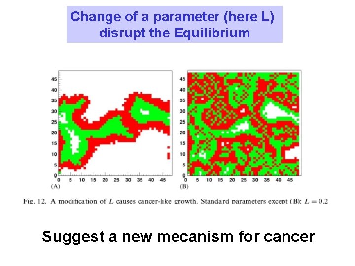 Change of a parameter (here L) disrupt the Equilibrium Suggest a new mecanism for