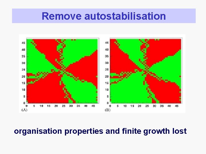 Remove autostabilisation organisation properties and finite growth lost 