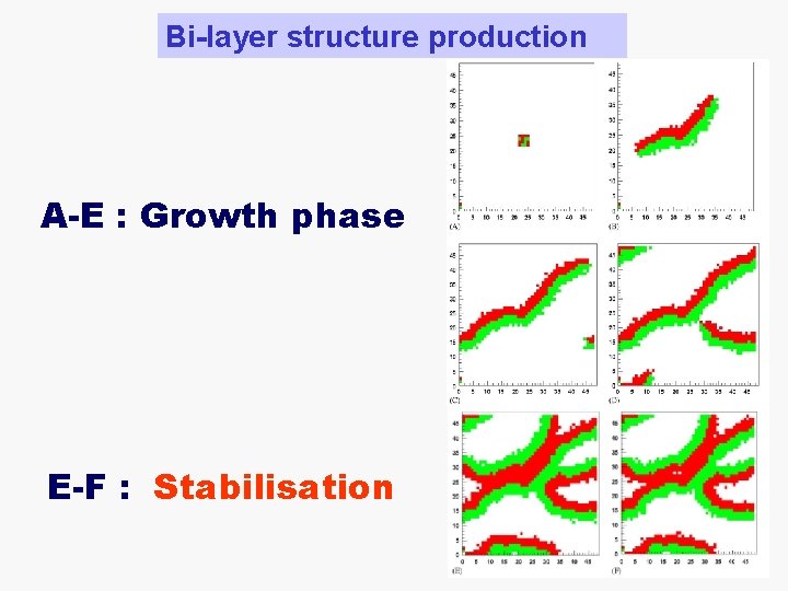 Bi-layer structure production A-E : Growth phase E-F : Stabilisation 